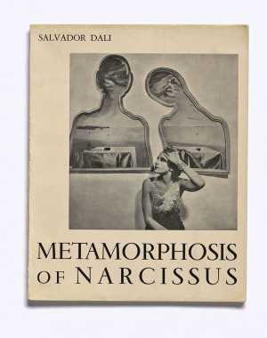 metamorphosis-of-narcissus
