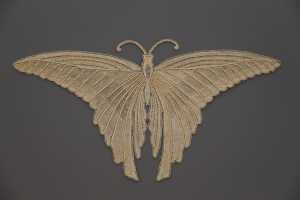ornament