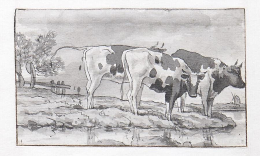 Three Cows Standing in a Pasture near Water (Study from a Series of Twelve Sheets)
