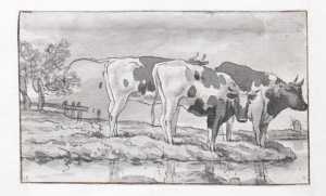 three-cows-standing-in-a-pasture-near-water-study-from-a-series-of-twelve-sheets