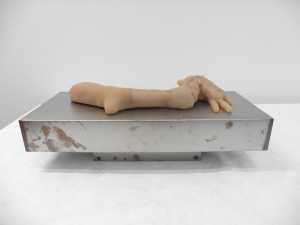 the-arm-de-arm
