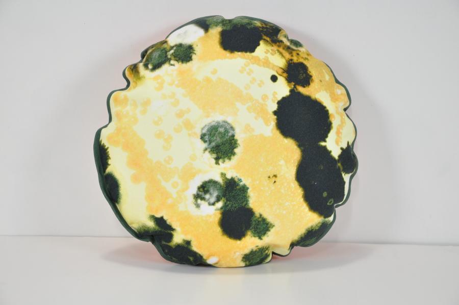 Mold object