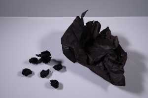 title-unknown
