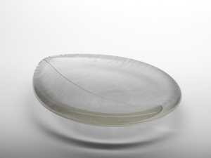 dish