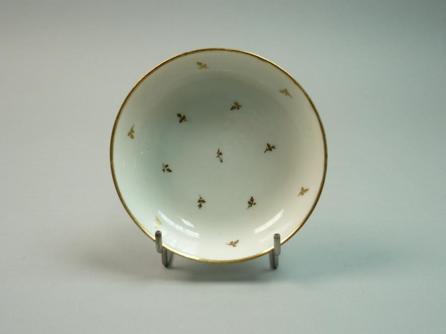 dish 