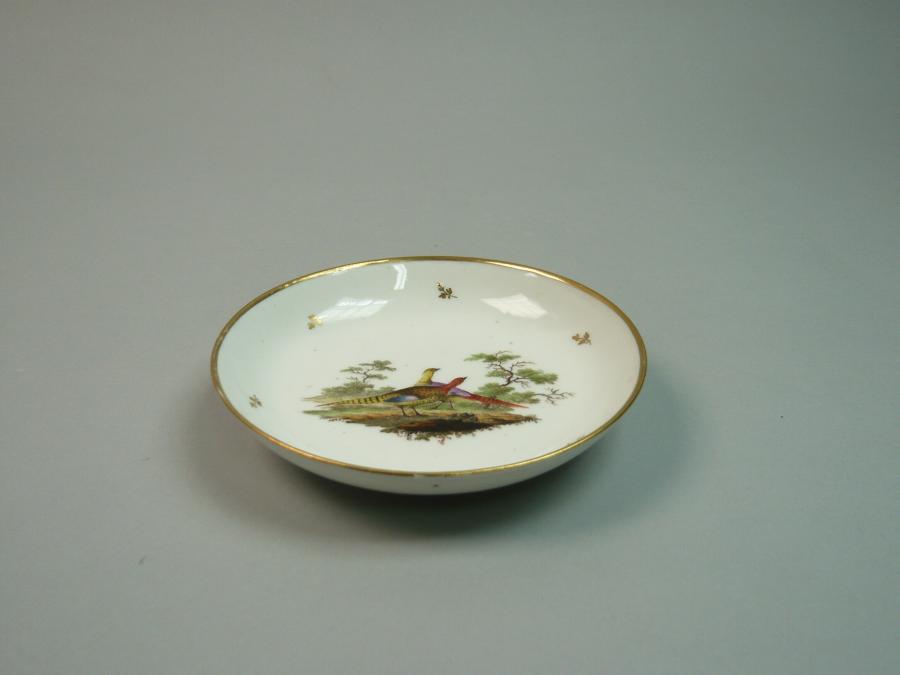 dish 