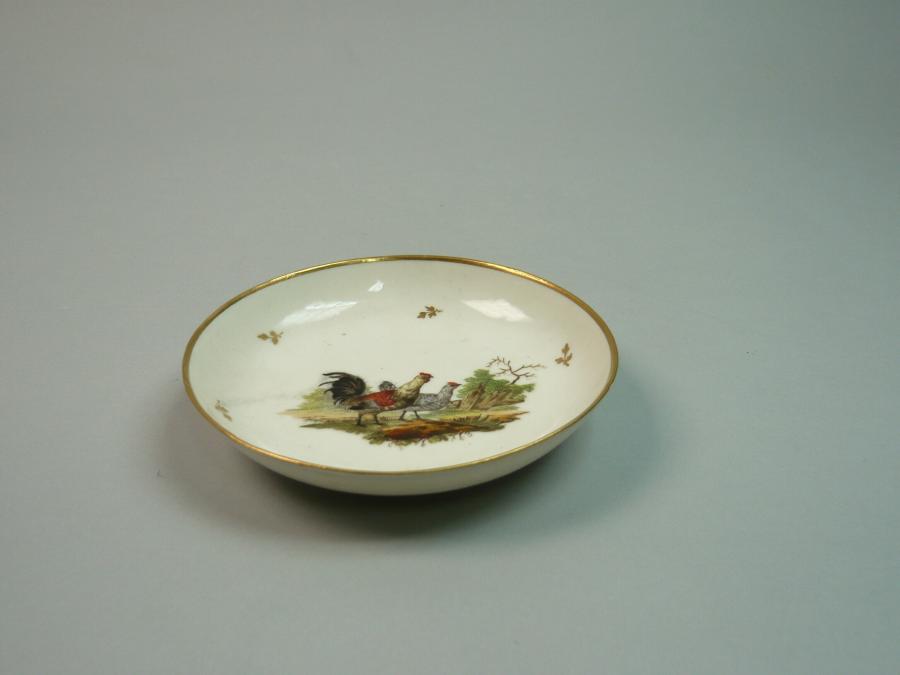 dish 