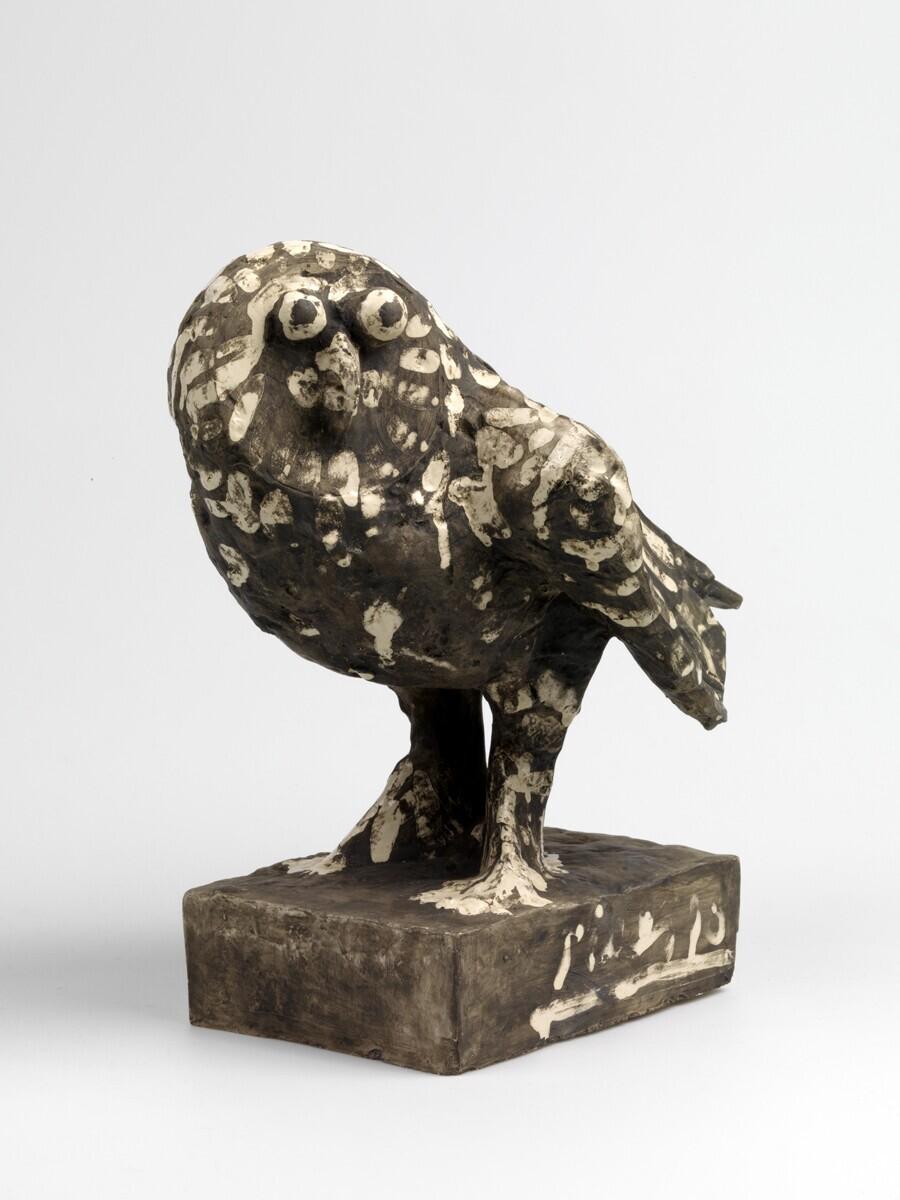 Le hibou gris