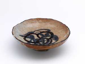dish