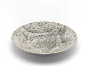 dish