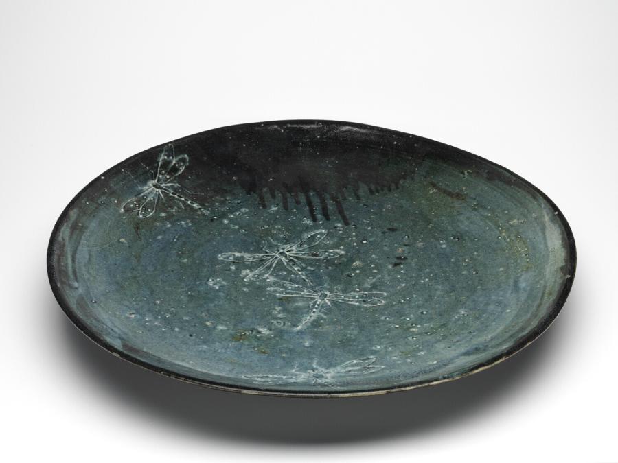 dish 