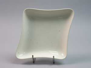 dish