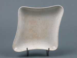dish