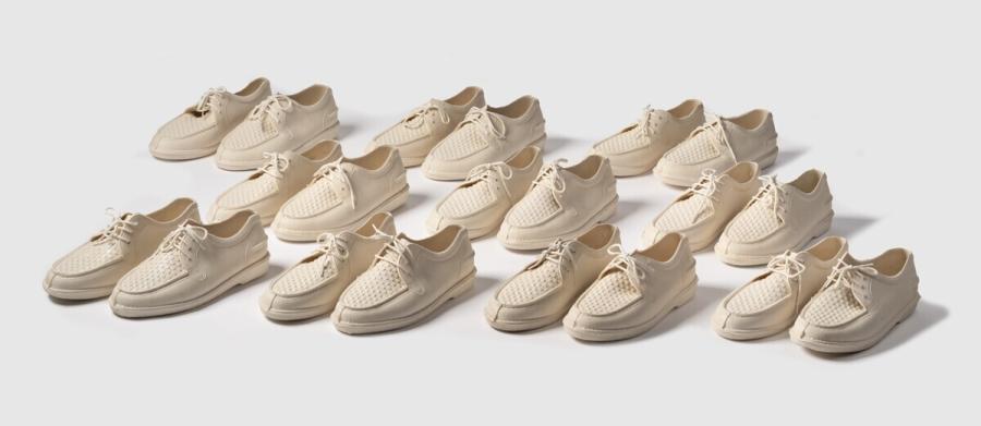shoe