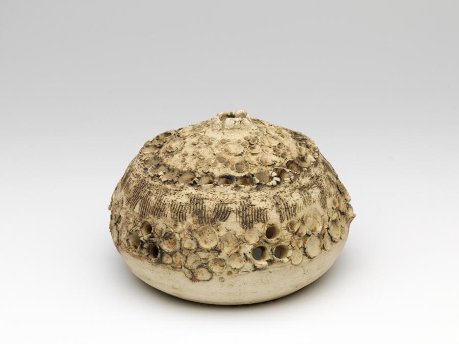 Sea urchin