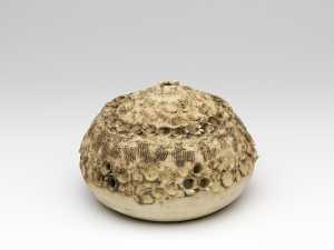sea-urchin