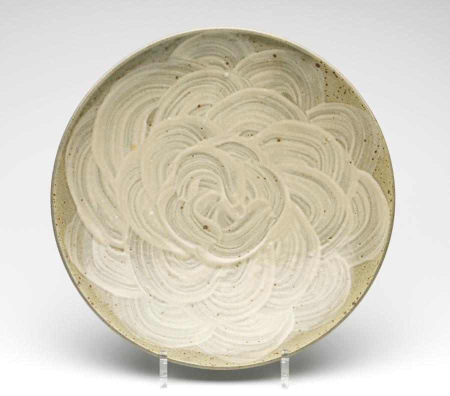 dish 