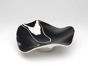 dish