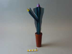 comb-christatus