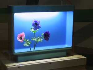 tele-vase