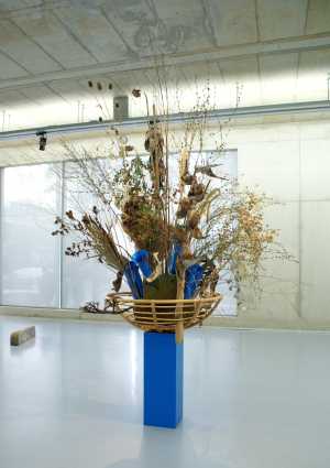 nature-object-1-natuurobject-1