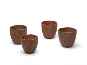 cacao-cups-cacao-bekers