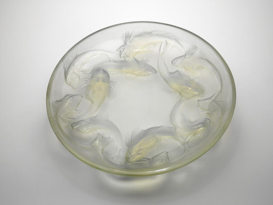 dish 