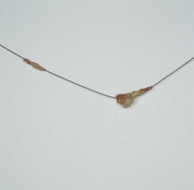 Meat Cable (Vleeskabel)