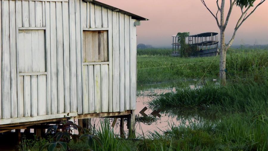 Fordlandia (Fordlandia)