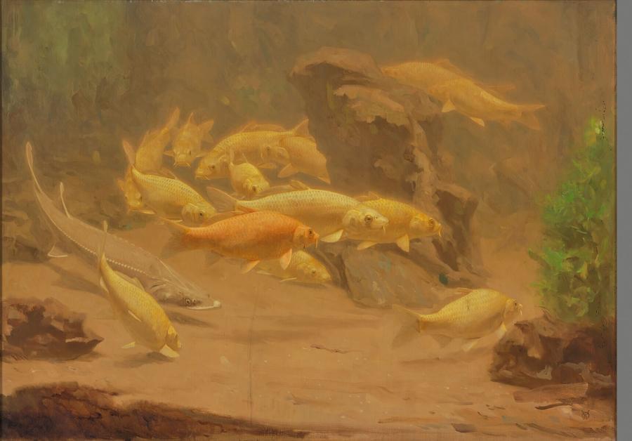 Aquarium