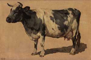 koe