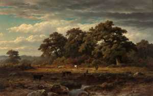 landschap