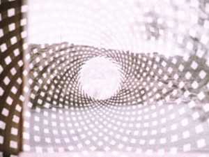 TMSFoto/MK/134_1.jpg