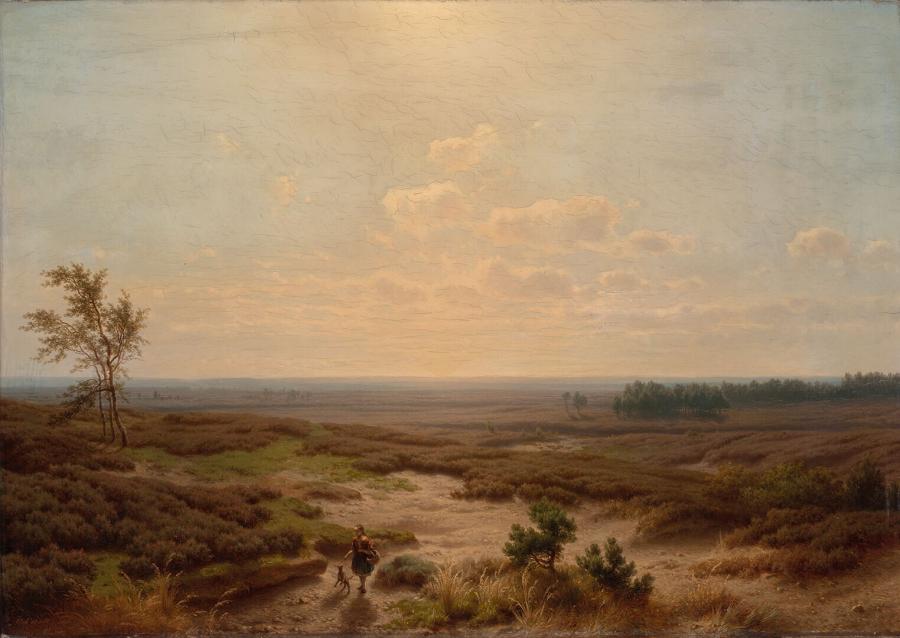 Heathland in Guelders