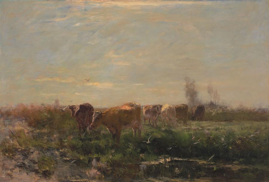 Vroege morgen