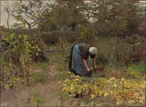 in-de-moestuin-de-warmoezenierster