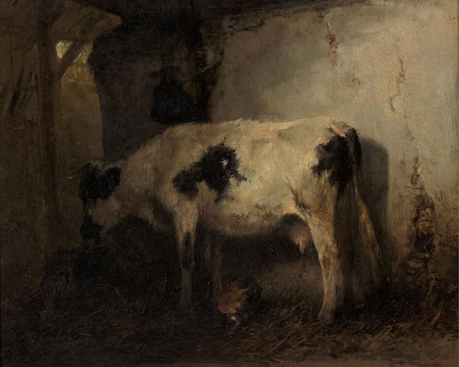 Koe in een stal
