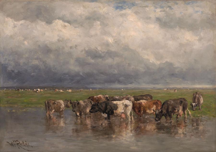 Landschap met koeien aan het water