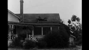 TMSFoto/MK/195_9.jpg