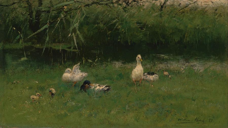 Eenden in het gras aan een sloot