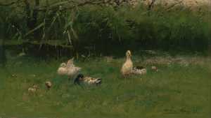 eenden-in-het-gras-aan-een-sloot