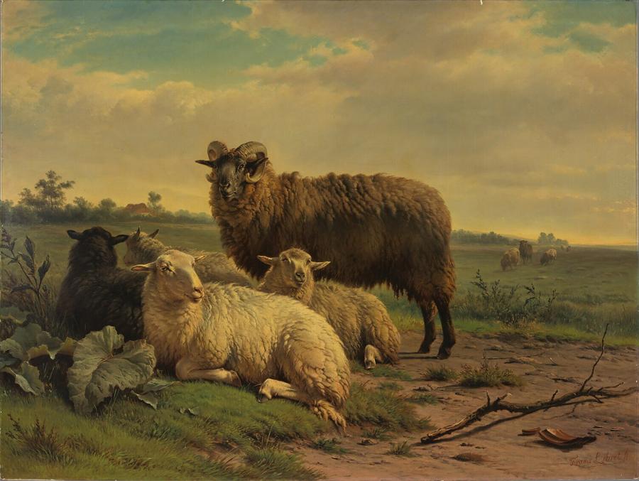 Landschap met schapen