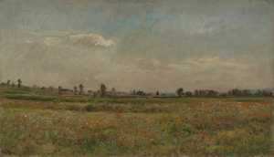 field-of-poppies