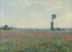 champ-de-coquelicots-papaverveld