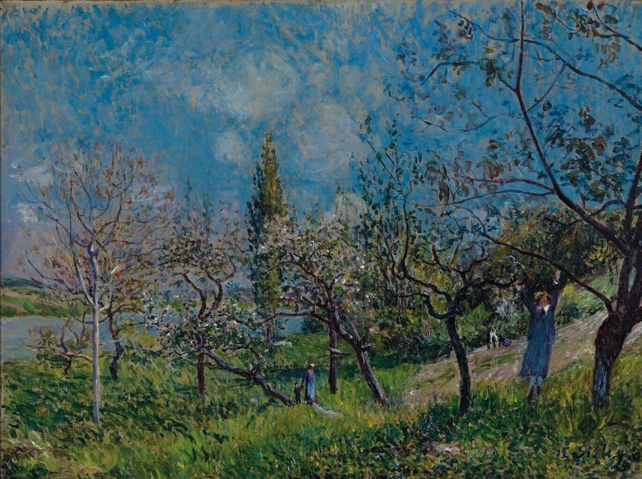 Un verger au printemps à By