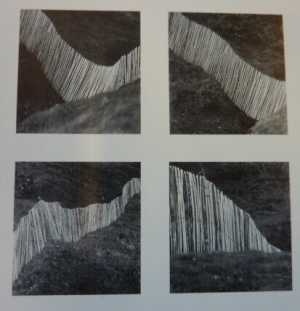landscape-perception-english-fence