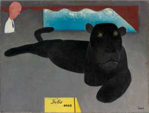 felis-onca