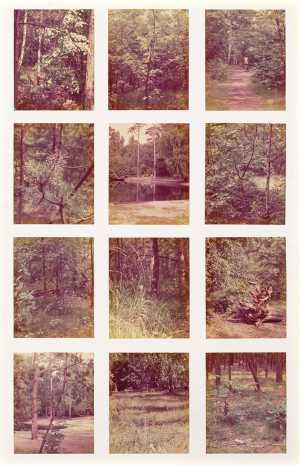 photograph