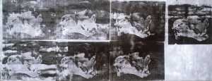 TMSFoto/MK/2984.JPG