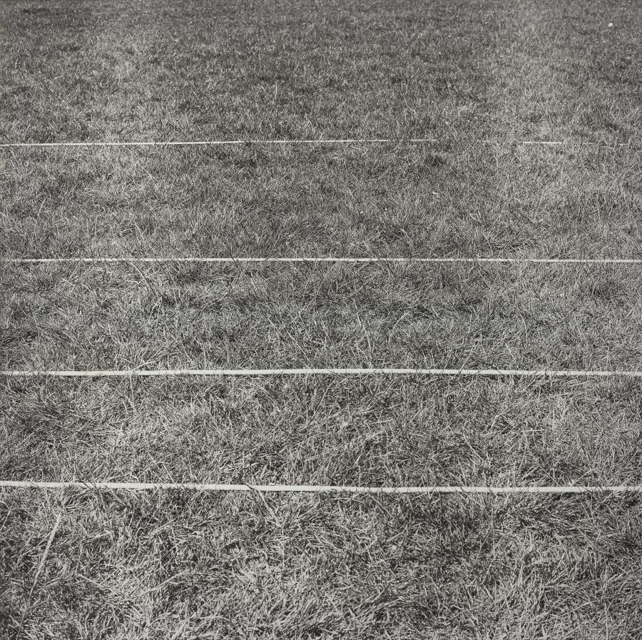 Perspective Correction, 4 Horizontal Lines
